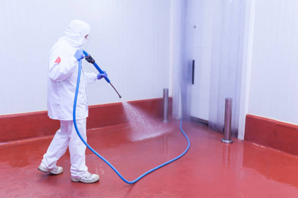 Best Rust Removal  in Teaticket, MA